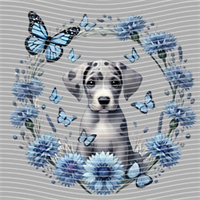 Animal Integration-DW 512